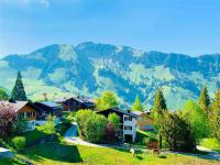 The Swiss Paradise 3 Cozy Mountain Studio - Ferienwohnung Wirzweli