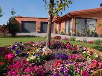 La Casita de Suances 2 - a 5 min de la Playa, Ideal Familias y Mascotas - Bed and Breakfast Suances