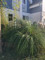 Strandläufer - Ferienwohnung Breege