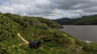 Snowdonia Shepherds Hut, Hot Tub & Sauna - Chambres d'hôtes Barmouth