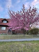 Vacation apartment between Berlin and Potsdam, 60 Quadratmeter mit glasfaser und Netflix - B&B Brieselang