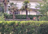 Apartment LIOR - B&B Opatija