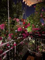 Rose Nest Airport Apartment - Self Check-In - Free parking - B&B Sarajevo