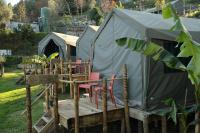Safari Glamping Portugal Parrot - Chambres d'hôtes Ventosa
