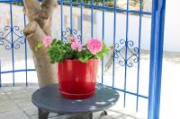 Vila Enea - B&B Ksamil