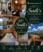 Sesili's apartment - Bed and Breakfast Stepantsminda