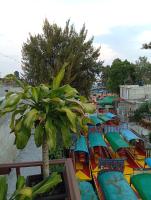 Cómodo departamento en Xochimilco - Bed and Breakfast Mexico-stad