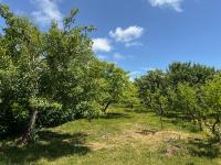 Harmony Guest House - B&B Grigor’yevka