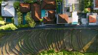 Casa Diola - B&B Canggu