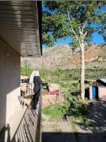 Dilovar Homestay - Chambres d'hôtes Saritag