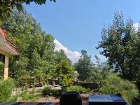 Into The Wild World Nest - B&B Bashist