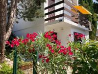 Molat Bay View - Chambres d'hôtes Molat