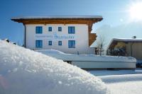 Appartements Hitzenbichler - Ferienwohnung Abtenau