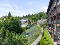 Riverview Apartment - Bad Aussee - B&B Bad Aussee