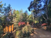 Cabañas en el Bosque de San José del Pacífico 5 - Bed and Breakfast San Mateo Río Hondo
