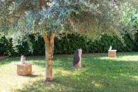 Apartmani Kirinčić - B&B Krk