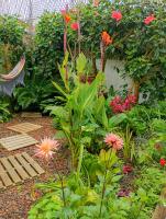 Arruda´s House - B&B Ponta Delgada