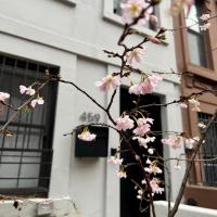 Close to all! 2-room suite in a 1-family townhouse - Chambres d'hôtes Brooklyn