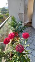 Forum Nest Homestay 3BHK Duplex House - B&B Bengaluru