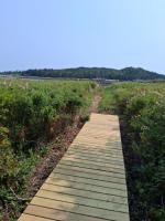 Sandy's Beachfront Cabins - B&B Lubec