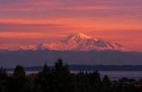 Sunny 3-Bedroom Ground Floor Suite, Tsawwassen - Chambres d'hôtes Delta