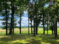 Villa Monti Ski & Bike Głuchołazy Zdrój - Ferienwohnung Konradów