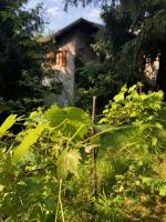 La casa nel bosco - Brione - Ferienwohnung Brione