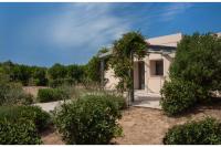 Green & Purple - B&B Arachnaio