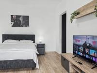 Konstanzer12 - Free Parking Apt - AC - B&B Iași