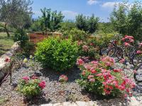 Apartmani Masline Međugorje - B&B Međugorje