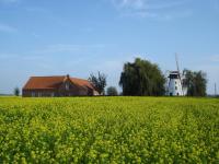 Brouckmolen - B&B Alveringem
