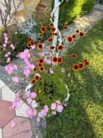 Vila Aliaj - B&B Durrës