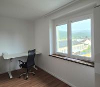 Apartment Knittelfeld Mountain View near Red Bull Ring - B&B Knittelfeld