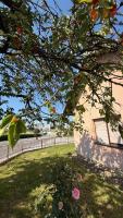 Magnolia guest house - B&B Karlovac