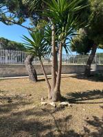 Villa Felice - Chambres d'hôtes Leporano Marina