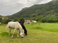 studio élégant - B&B Saint-Julien-en-Saint-Alban