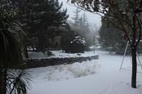 La casa del Cavaliere - Ferienwohnung Santa Maria di Licodia