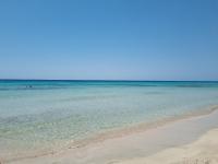 Posidonia -Son Bou Apartment - B&B Son Bou