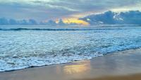 Beach Town 1B Apartment with Social Tropical Vibe - B&B Luquillo