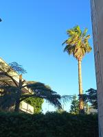 La corte delle more - Ferienwohnung Ugento