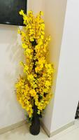 Cozy Studio Private Balcony Near Airport GT & WTP - B&B Jaipur