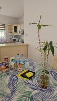 Les Orchidées, Spacious 3 bedroom apartment, Flic en Flac - Chambres d'hôtes Flic en Flac