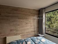 Cómodo Departamento a pasos Av Alemania Temuco - B&B Temuco