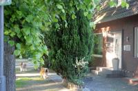 Ferienwohnung am Schloss - Ferienwohnung Drensteinfurt