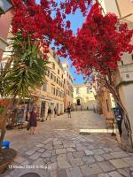 Casa dell'Arte Corfu, Next to St Spiridon Church - Chambres d'hôtes Karyófyto