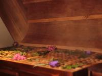 Sattvic Ceylon- Wellness Homestay - B&B Colombo