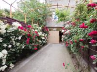 T-Garden Guesthouse - B&B Ereván