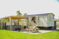 Sunflower - Bed and Breakfast Saint Harmon