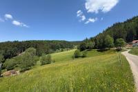 House on the edge of the forest in La Claquette - Bed and Breakfast La Broque