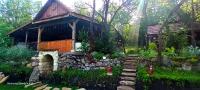Hidden Garden Kide (Chidea) - B&B Cluj-Napoca